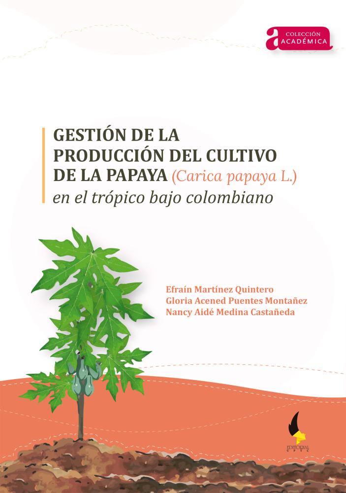 Imagen de una planta de papaya